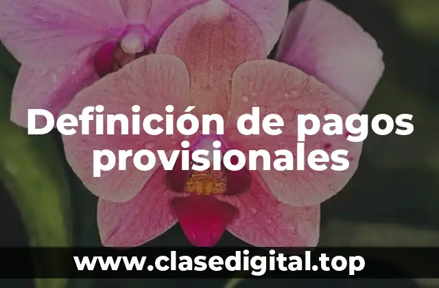 Definición de pagos provisionales