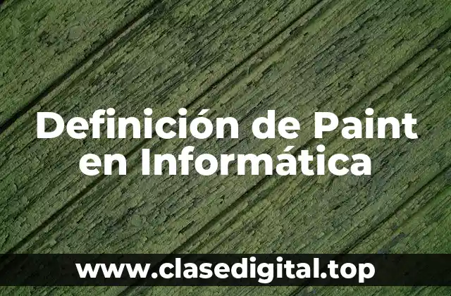 Definición técnica de Paint en Informática