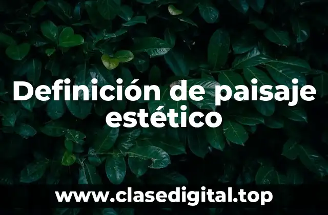 Definición de paisaje estético
