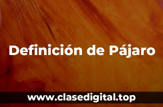 Definición de Pájaro