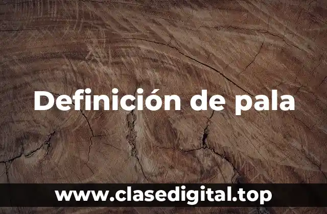 Definición de pala
