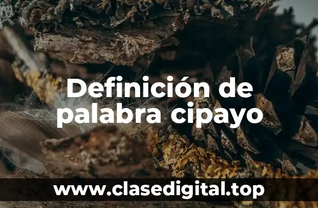 Definición de palabra cipayo