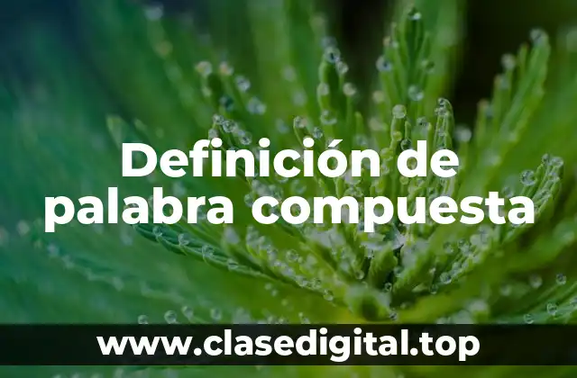 Definición de palabra compuesta