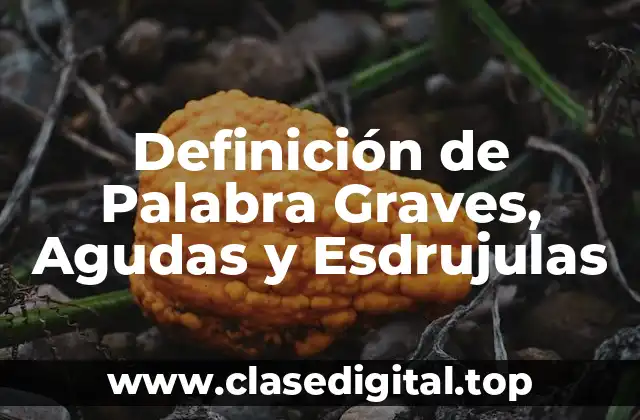 Definición de Palabra Graves, Agudas y Esdrujulas