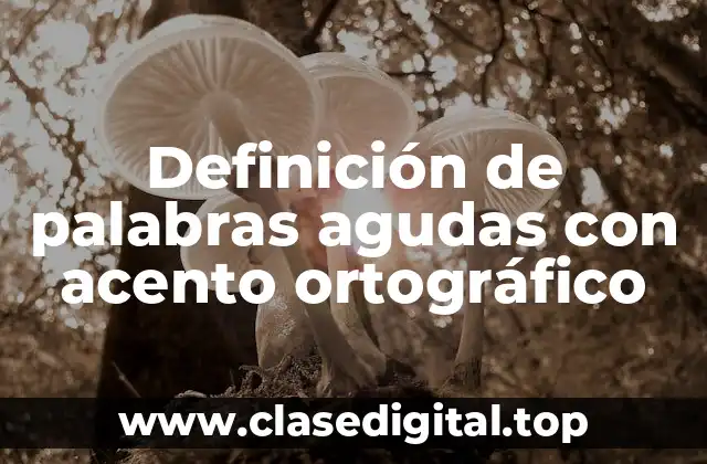 Definición de palabras agudas con acento ortográfico