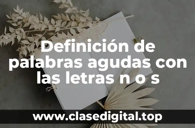 Definición de palabras agudas con las letras n o s