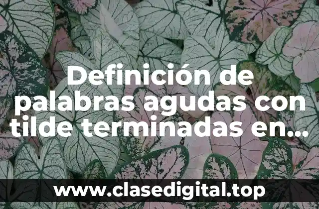 Definición de palabras agudas con tilde terminadas en vocal