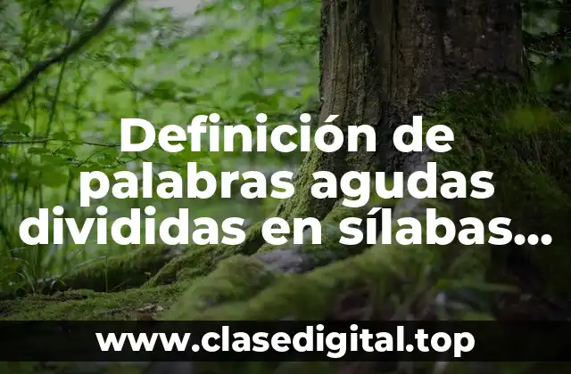 Ejemplos de palabras agudas divididas en sílabas con sus acentos