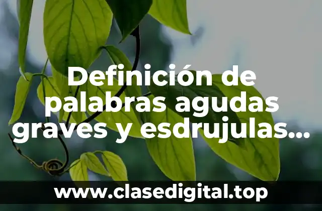 Definición de palabras agudas graves y esdrujulas con silabas tonicas