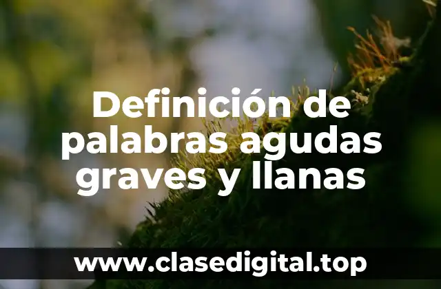 Definición de palabras agudas graves y llanas