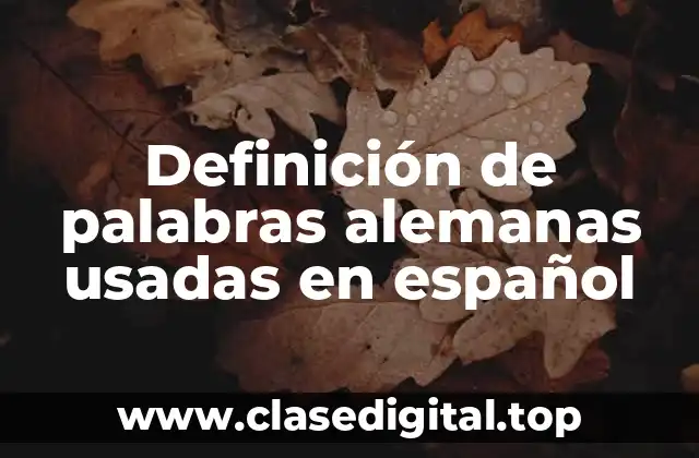 Ejemplos de palabras alemanas usadas en español