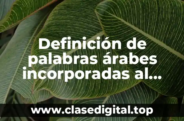 Definición de palabras árabes incorporadas al español