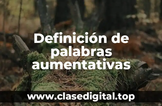 Definición de palabras aumentativas