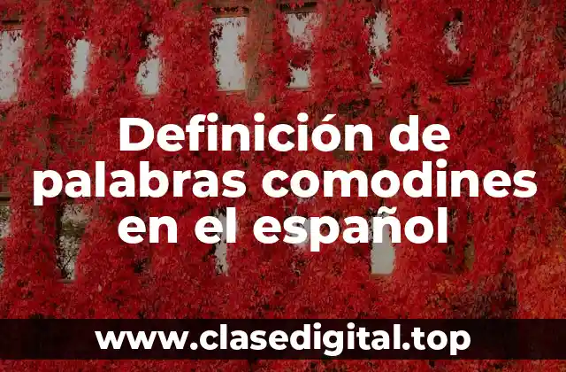 Definición de palabras comodines en el español