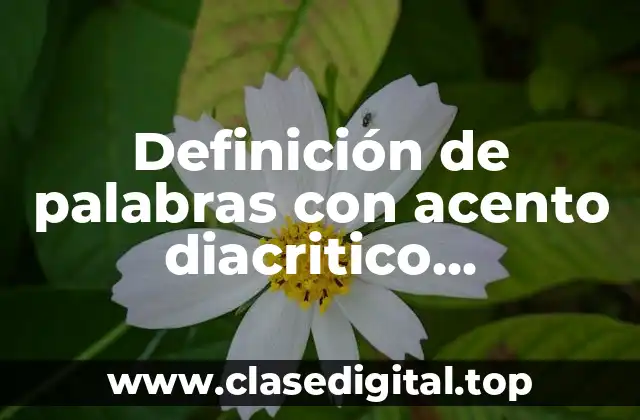 Definición de palabras con acento diacritico monosilabas