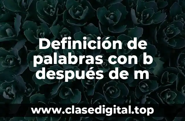Definición de palabras con b después de m