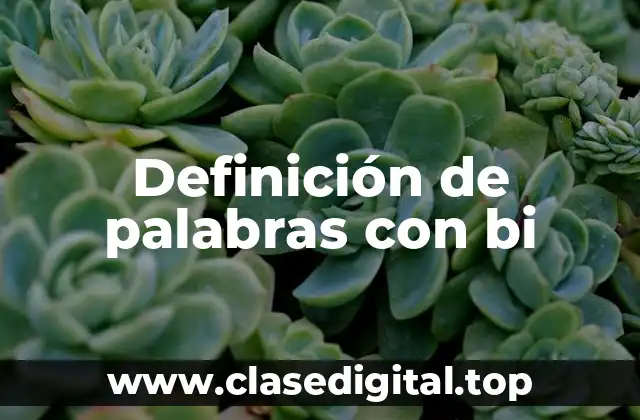 Definición de palabras con bi