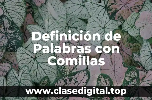 Definición de Palabras con Comillas