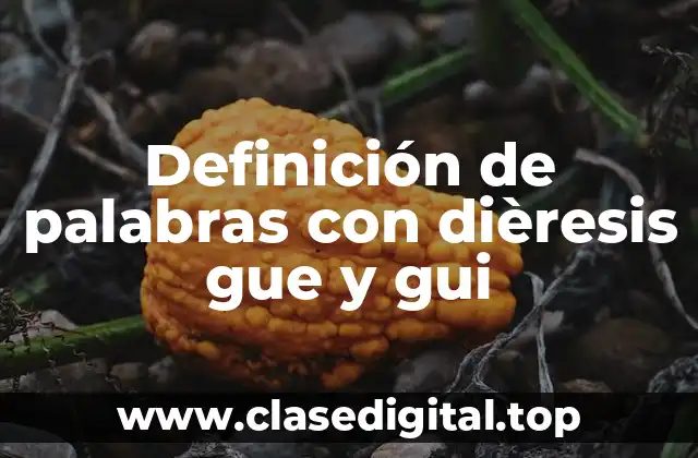 Definición de palabras con dièresis gue y gui