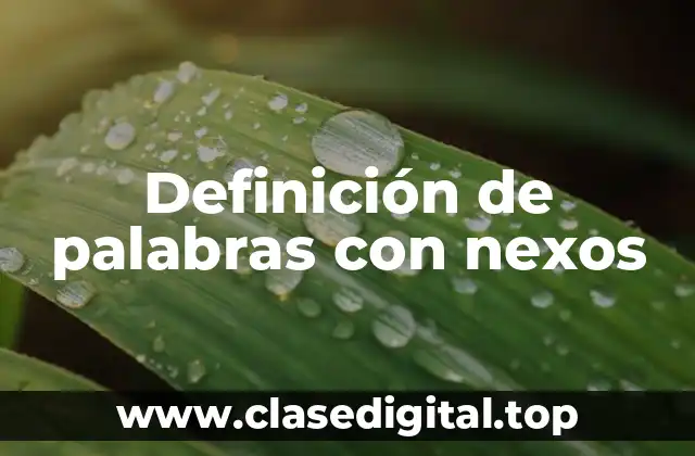 Definición de palabras con nexos