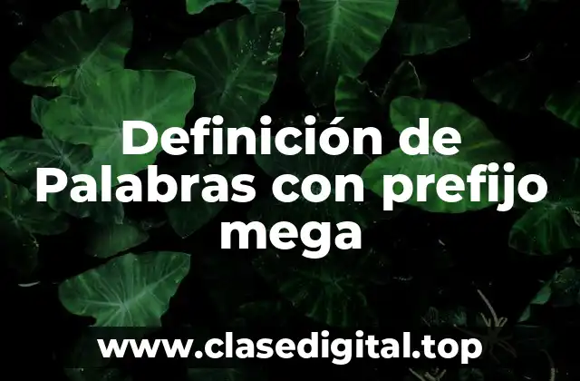 Definición de Palabras con prefijo mega