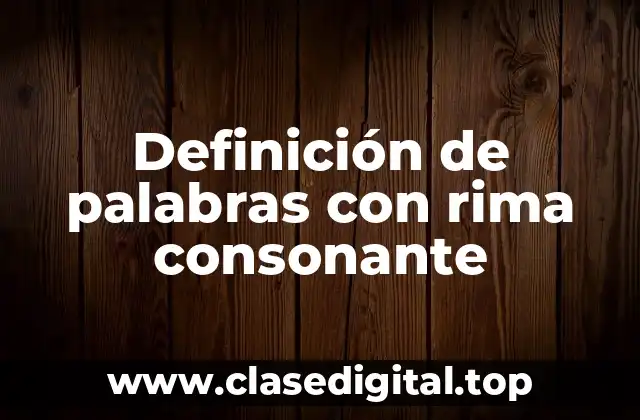 Definición de palabras con rima consonante