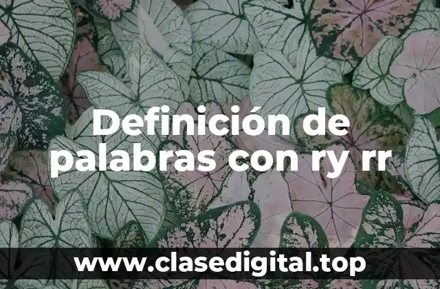 Definición de palabras con ry rr