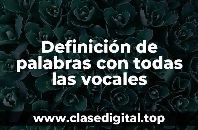 Definición de palabras con todas las vocales