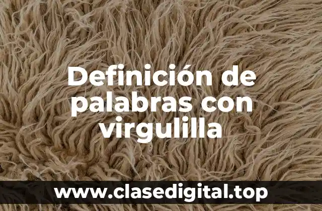 Definición de palabras con virgulilla