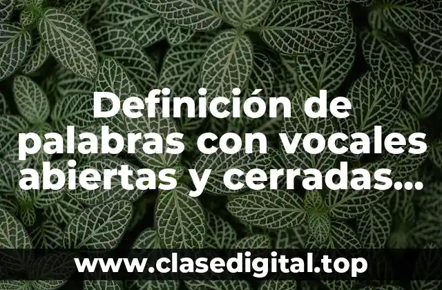 Definición de palabras con vocales abiertas y cerradas con tilde
