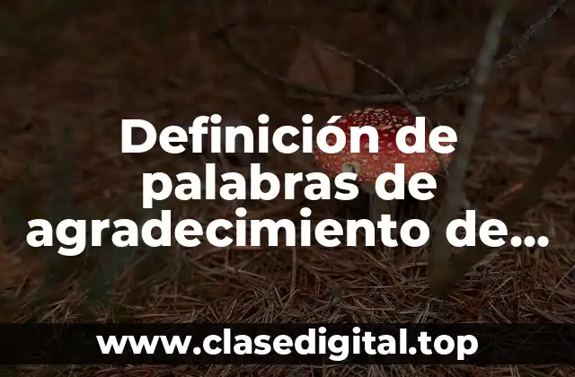 Definición de palabras de agradecimiento de un proyecto