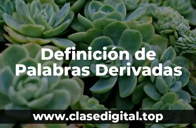 Definición Técnica de Palabra Derivada