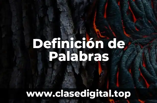 Definición técnica de Búsqueda