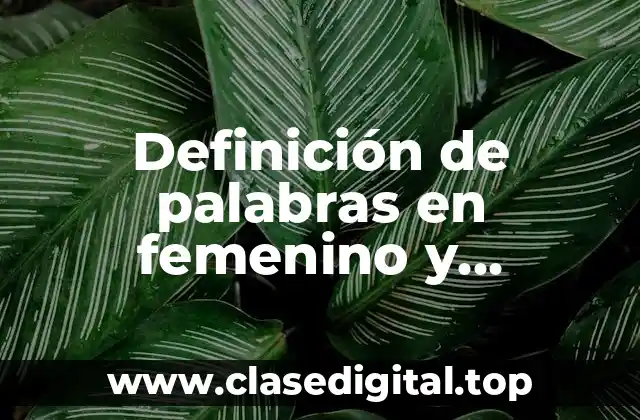 Definición de palabras en femenino y masculino