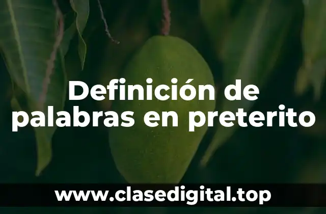 Definición de palabras en preterito