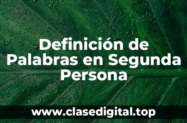 Definición de Palabras en Segunda Persona