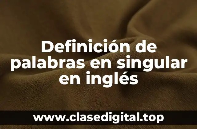 Definición de palabras en singular en inglés
