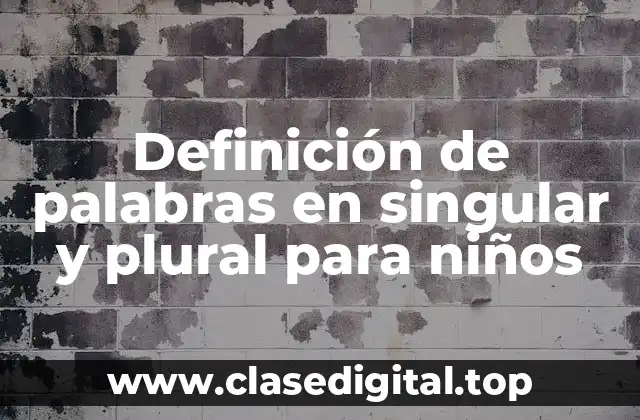 Definición de palabras en singular y plural para niños