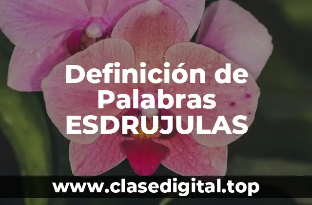 Definición de Palabras ESDRUJULAS