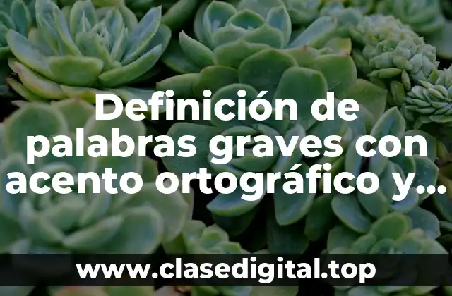 Definición de palabras graves con acento ortográfico y prosódico