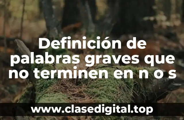 Definición de palabras graves que no terminen en n o s
