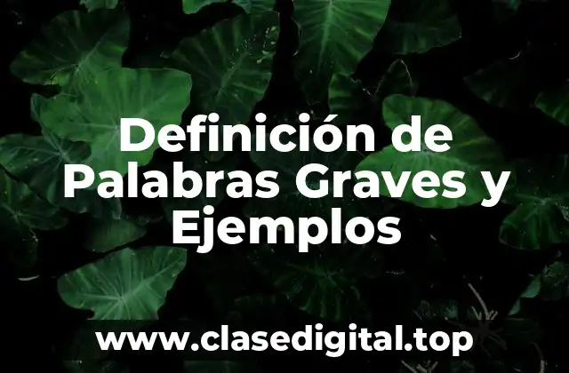 Definición de Palabras Graves y Ejemplos