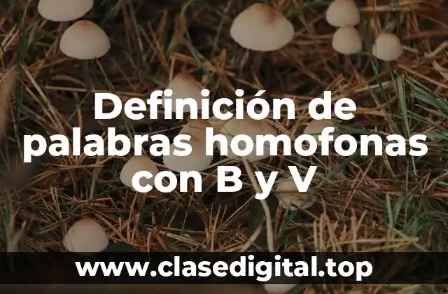 Definición de palabras homofonas con B y V