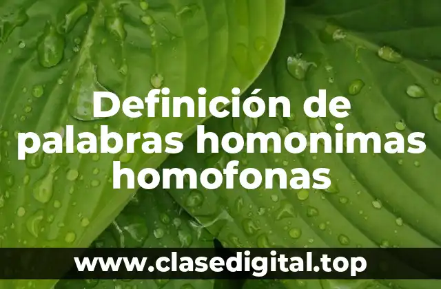 Definición de palabras homonimas homofonas