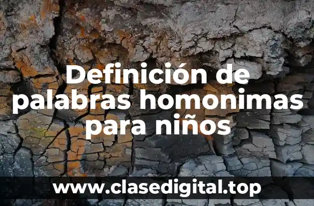 Definición de palabras homonimas para niños