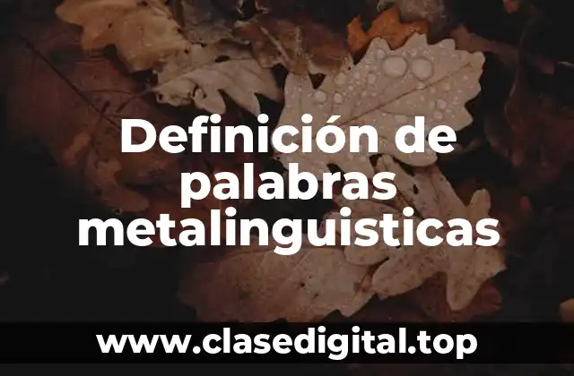 Definición de palabras metalinguisticas