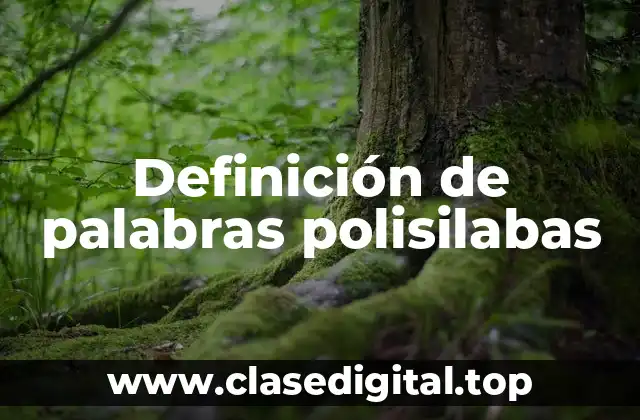 Ejemplos de palabras polisilabas