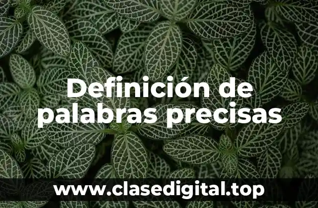 Ejemplos de palabras precisas