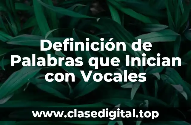 Definición de Palabras que Inician con Vocales
