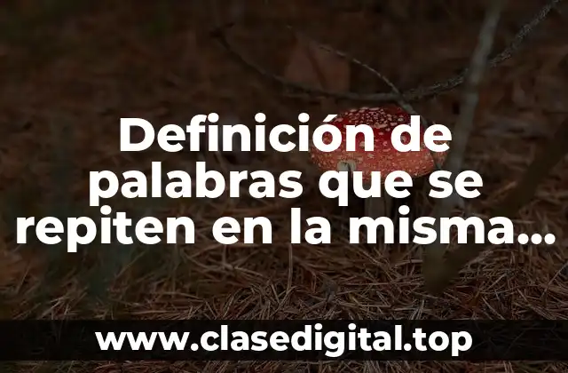 Ejemplos de palabras que se repiten en la misma oración